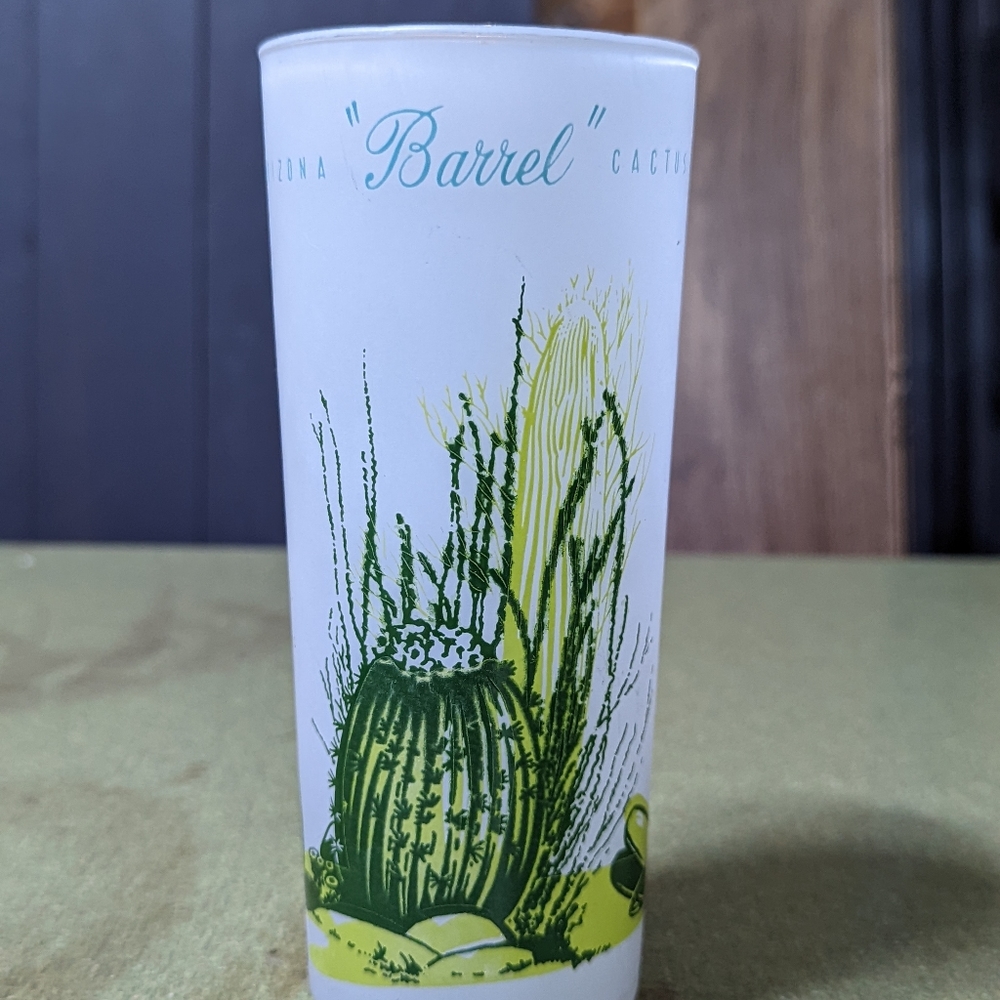 Vintage Arizona Barrel Cactus Glass